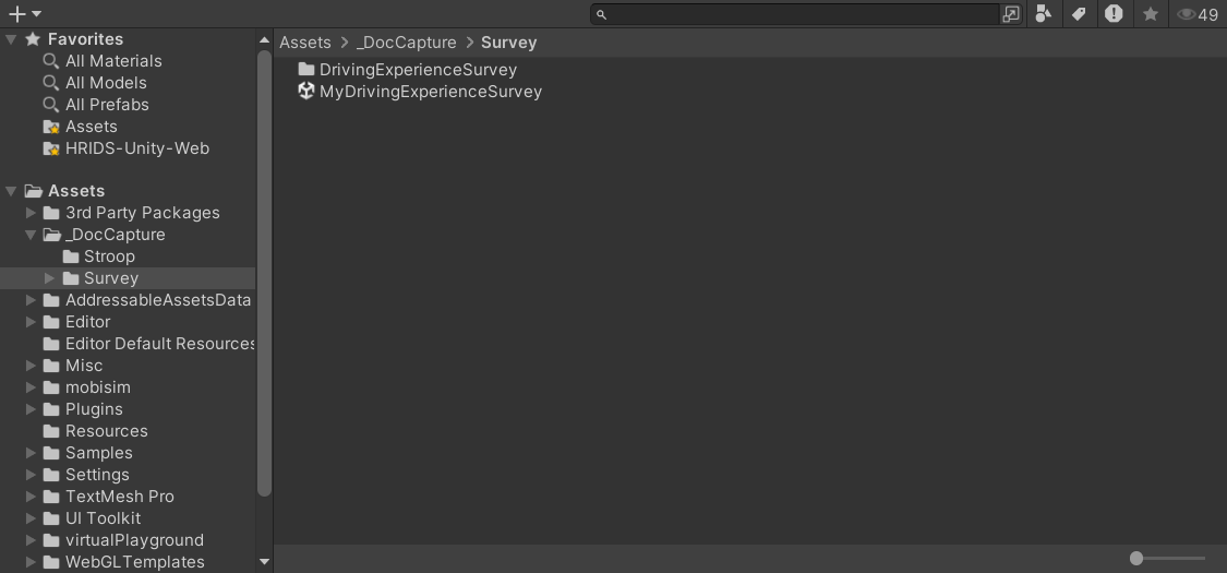 Image of saved Scene in project window