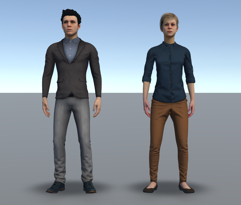 Pedestrian preview