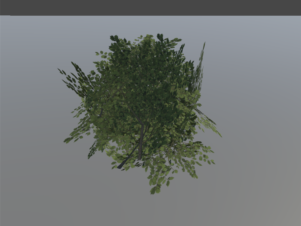 Branch preview