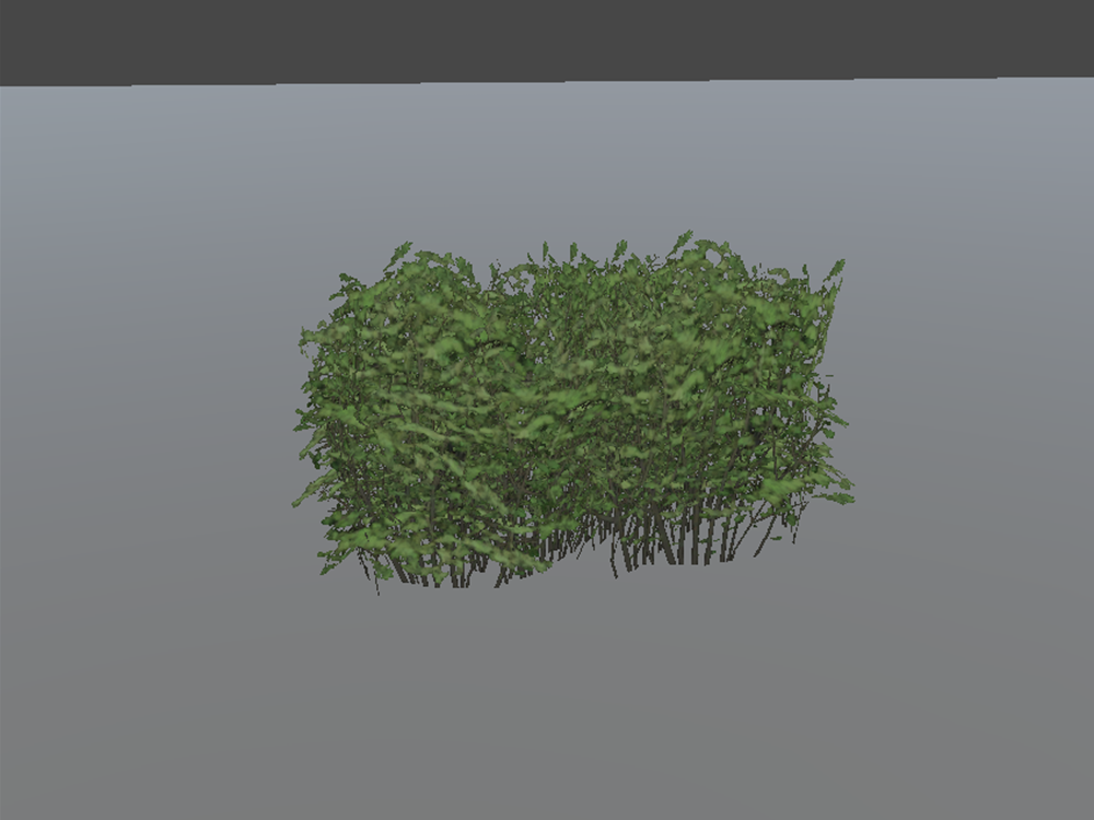Hedge preview