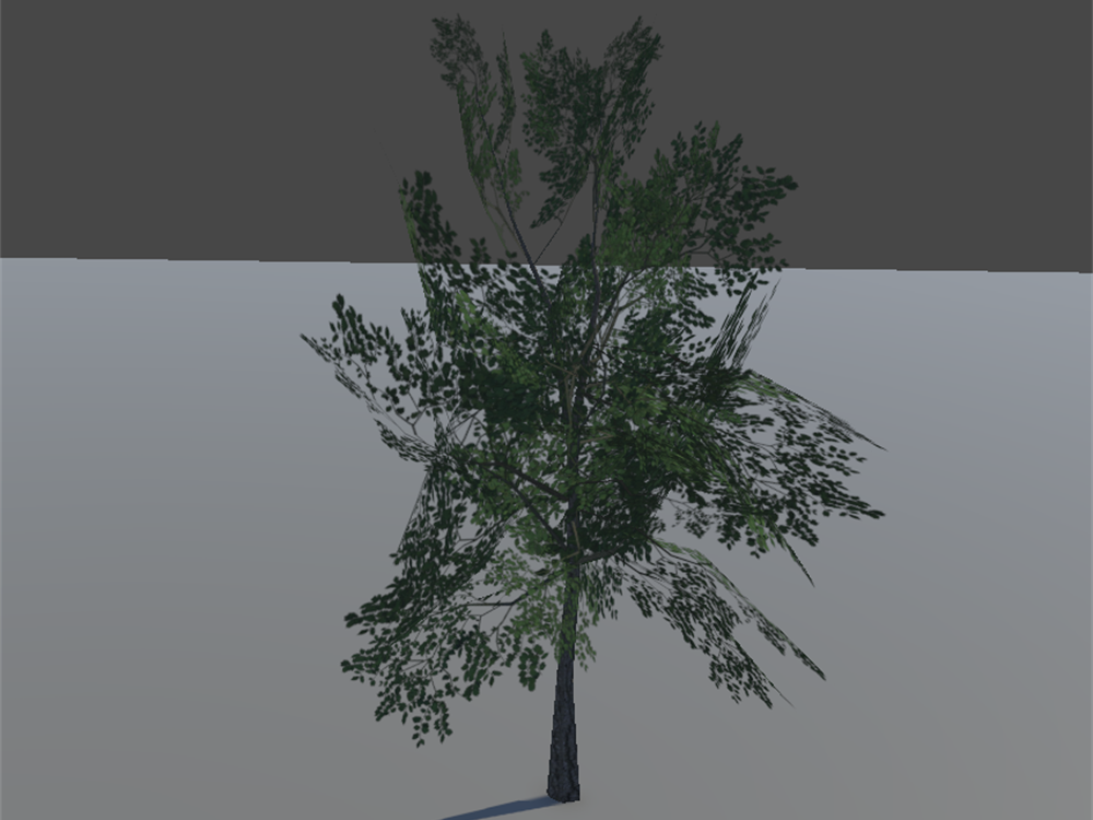 Trees preview